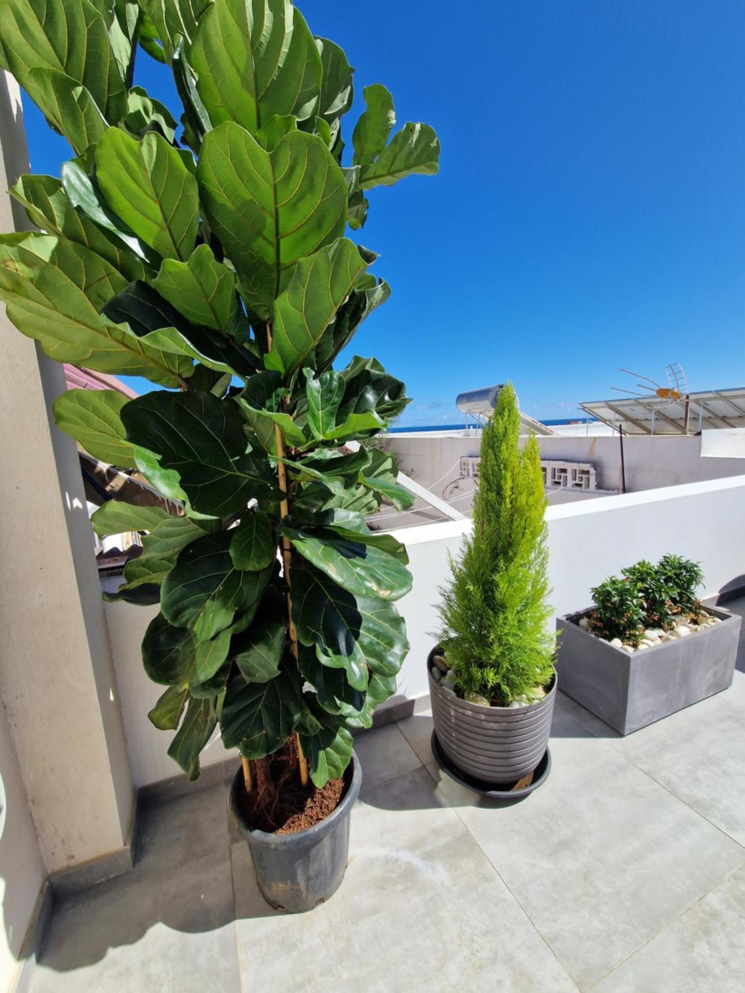 Ocean Surf Suite Playa Del Hombre Exterior photo